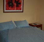 Busy Buzz - Australia Accommodation