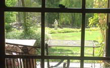 Ginninderry Homestead - Australia Accommodation 1