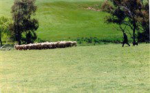 Hall ACT Australia Accommodation