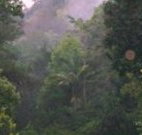 Havans Ecotourist Retreat - - Australia Accommodation
