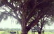 Kabana Luxury Accommodation - thumb 3