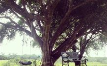 Kabana Luxury Accommodation - Australia Accommodation 3