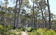 Lilli Pilli Beach Bed And Breakfast - thumb 5