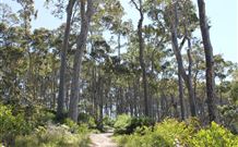 Lilli Pilli Beach Bed And Breakfast - Australia Accommodation 5