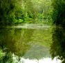 Mangrove Yoga Ashram - - Australia Accommodation