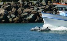 Mansfield By The Lake - Australia Accommodation 4