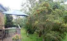 Peaceful Palms Bed And Breakfast - - Australia Accommodation 6