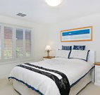 Pelican Paradise -