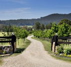 Pemberley Grange Hunter Valley Getaway - Australia Accommodation