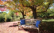 Redbrow Garden Guesthouse - Australia Accommodation 2