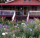 Rose Patch Bed and Breakfast - Australia Accommodation