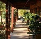 The Vineyard Motel - Australia Accommodation