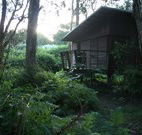 Mount Seaview Resort - Australia Accommodation