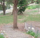 Bathurst Goldfields Accommodation - Australia Accommodation