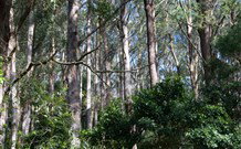 Berenbell Vineyard Retreat - Australia Accommodation 6