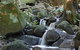 Berenbell Vineyard Retreat - thumb 7