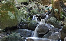 Berenbell Vineyard Retreat - Australia Accommodation 7