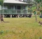 Bewong River Retreat - Australia Accommodation
