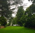 Brigalow Cottage - Australia Accommodation