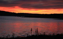 Burrill's Cedar Cottage - Australia Accommodation 2