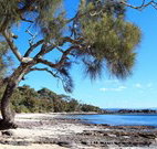 David Jones Cottage - Australia Accommodation