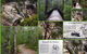 Fossickers Cottages - thumb 7