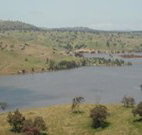 In The Heart Of Husky - Australia Accommodation