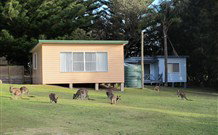 Lake Haven Castle Cottage - Australia Accommodation 1