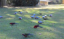Lake Haven Castle Cottage - Australia Accommodation 2
