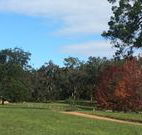 Mulberry Cottage - Australia Accommodation
