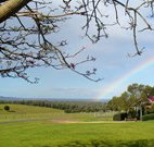 Pebble Bay Cottage - Australia Accommodation