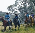 Possums Hideaway - Australia Accommodation