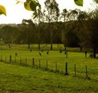 Stone Cottage Mittagong - Australia Accommodation