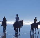 The Hayloft - Australia Accommodation