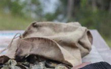 The Woods At Pokolbin - Australia Accommodation 3