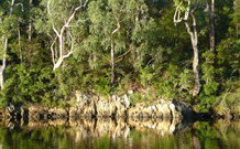 The Woods At Pokolbin - Australia Accommodation 5
