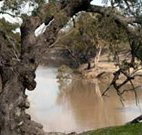Valley View Cottage Hunter Valley - Australia Accommodation