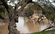 Valley View Cottage Hunter Valley - Australia Accommodation 0
