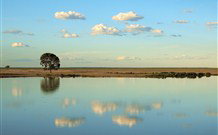 Valley View Cottage Hunter Valley - Australia Accommodation 4