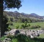 Woolshed Hill Estate - Australia Accommodation