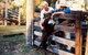 Minmore Farmstay Bed And Breakfast - thumb 0