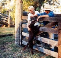 Minmore Farmstay Bed and Breakfast - Australia Accommodation