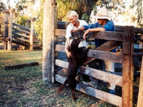 Minmore Farmstay Bed And Breakfast - Australia Accommodation 0