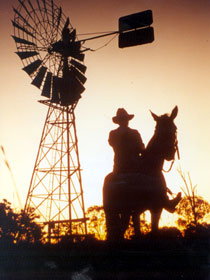 Minmore Farmstay Bed And Breakfast - Australia Accommodation 1