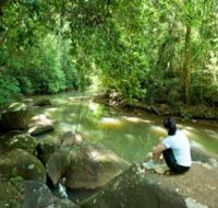The Canopy Rainforest Tree Houses and Wildlife Sanctuary
