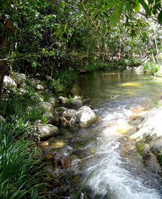 Sweetwater Lodge - Australia Accommodation 3