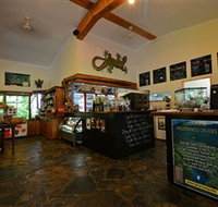Lync-Haven Rainforest Retreat - Australia Accommodation
