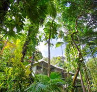 Daintree Eco Lodge and Spa - Australia Accommodation