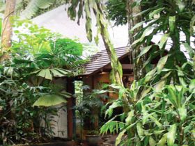 Heritage Lodge And Spa - In The Daintree - Australia Accommodation 0