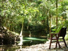 Daintree Wilderness Lodge - Australia Accommodation 1